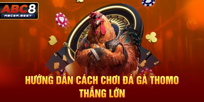 Hướng dẫn cách chơi đá gà thomo thắng lớn