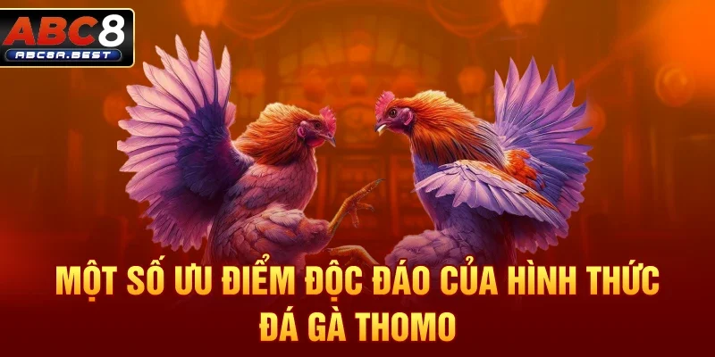 Một số ưu điểm độc đáo của hình thức đá gà thomo