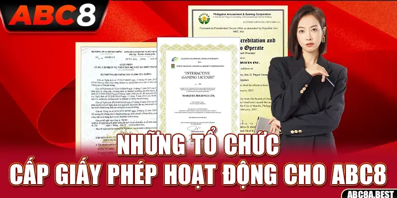 nhung to chuc cap giay phep hoat dong cho abc8